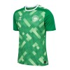 Camiseta de fútbol Portero Dinamarca Euro 2024 Verde - Hombre